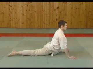 a set of stretching exercises from wushu [practice]