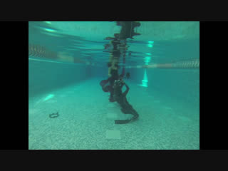 video by underwater