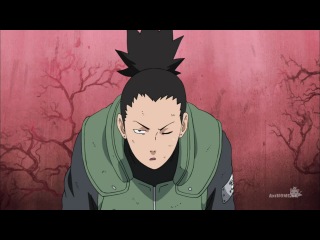 [nbfo] naruto shippuuden episode 304 [shachiburi]