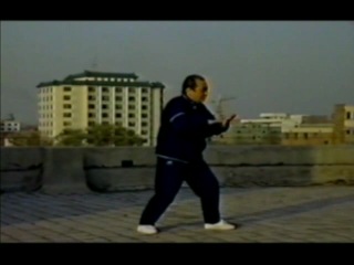 5 tai chi masters