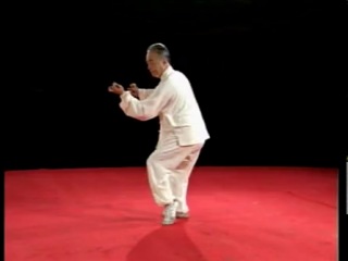 the first form performed by grandmaster chen style ma hong