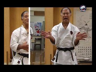 legend of karate-morio higaonna