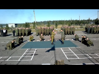 demonstration performances in army hand-to-hand combat, military unit 16605, olenegorsk