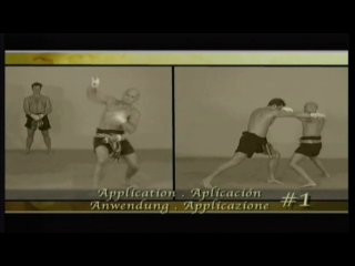 technique of blows in muay boran (old thai boxing)