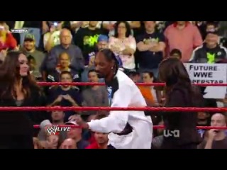 snoop dog fight at wwe